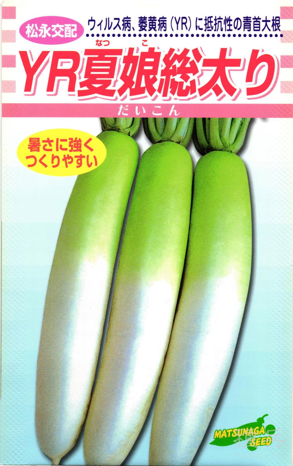 夏ダイコン 種 『YR夏娘総太り大根』 松永種苗 | たね,根菜の種