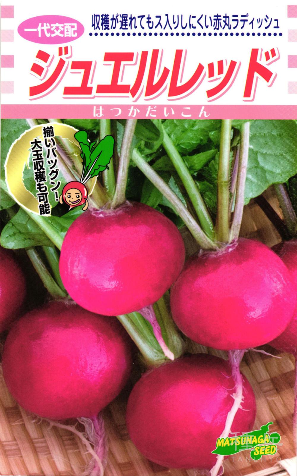 二十日ダイコン 種 『ジュエルレッド』  松永種苗