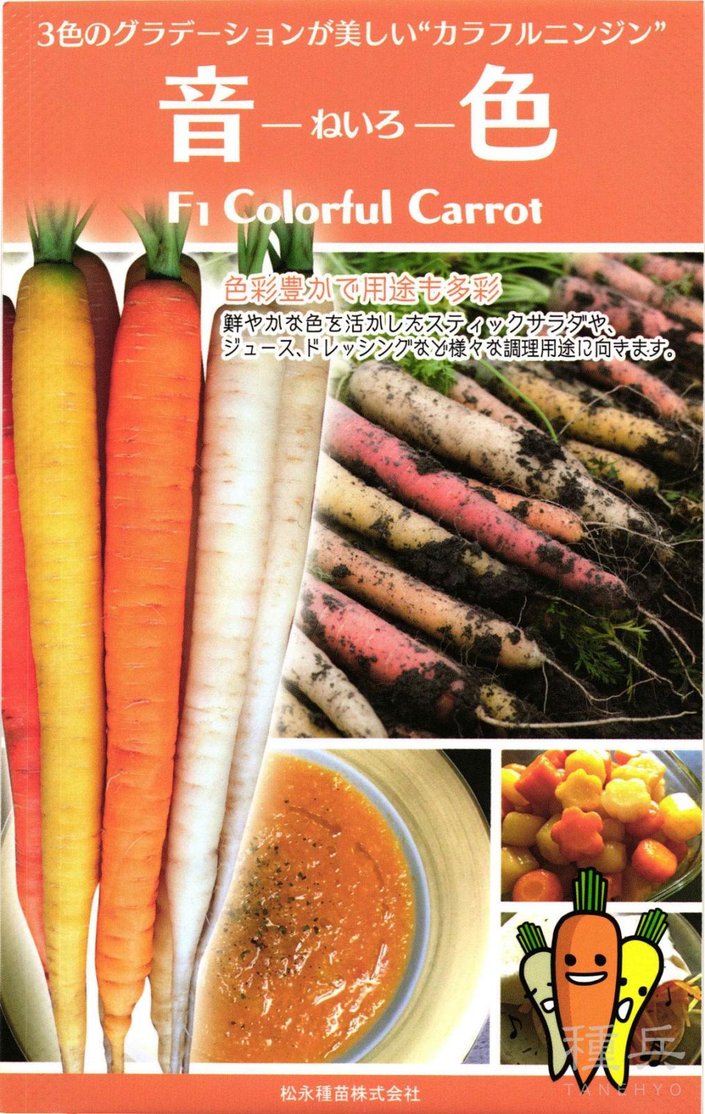 色ニンジン 種 『音色』  松永種苗