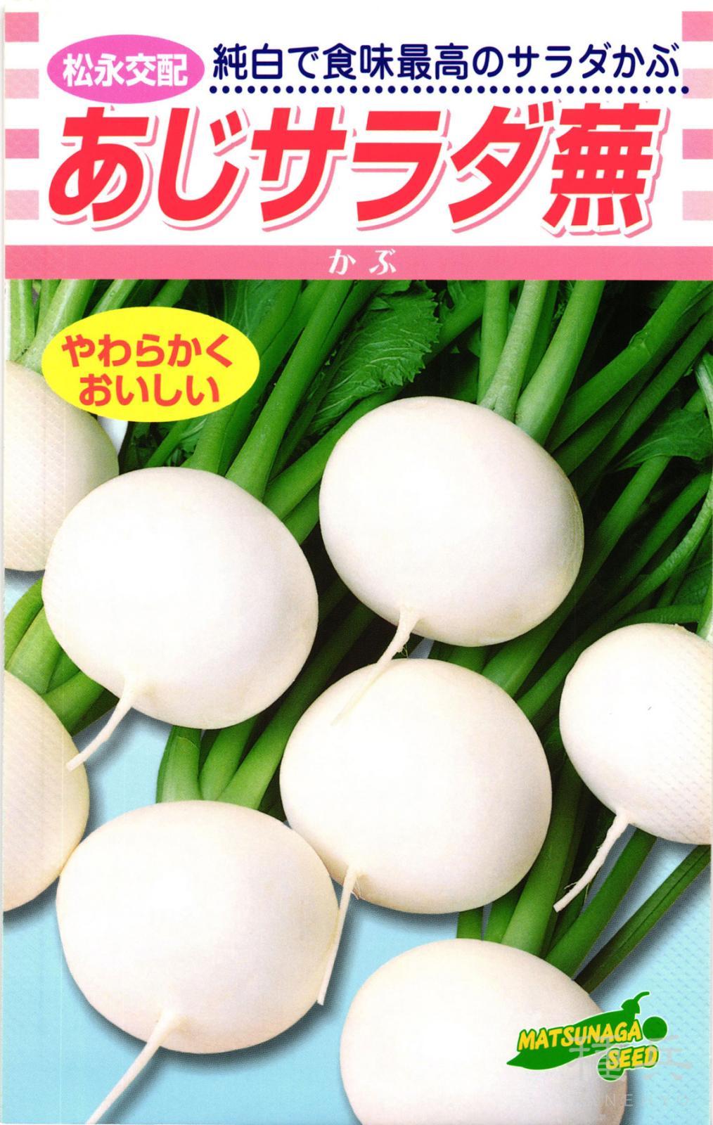 サラダカブ 種 『あじサラダ蕪』  松永種苗