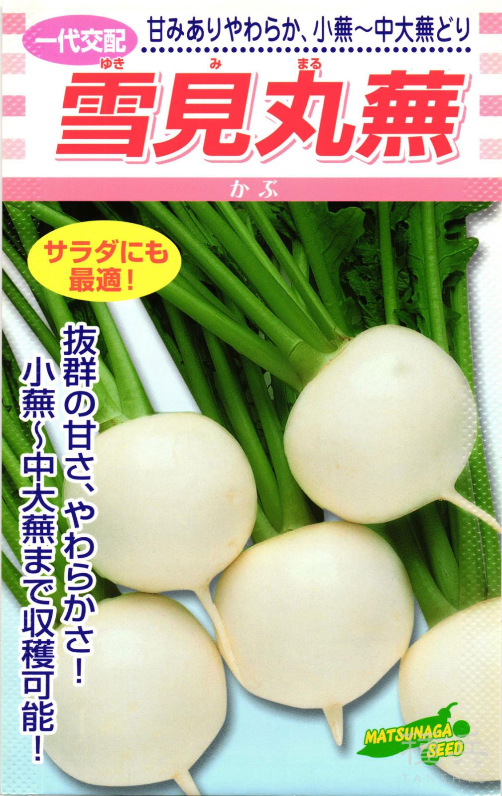ラディッシュ　小カブ　なでしこ　ルッコラ　種 ラディッシュ 小カブ なでしこ ルッコラ 種の通販 by その後で