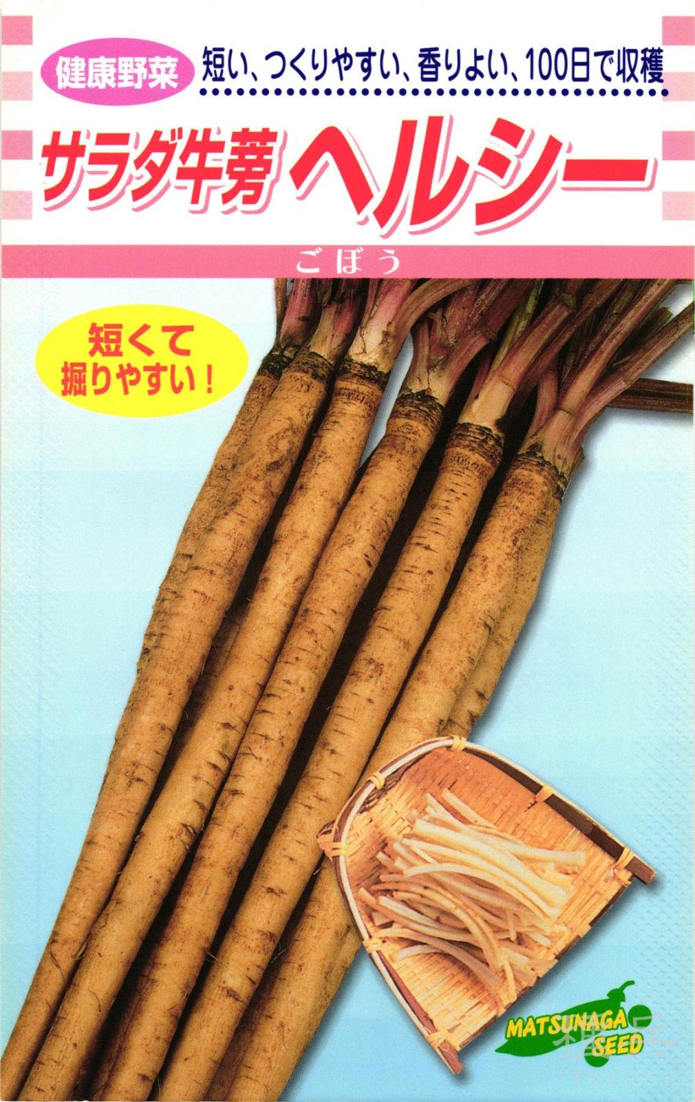 ゴボウ 種 『サラダごぼう・ヘルシー』  松永種苗