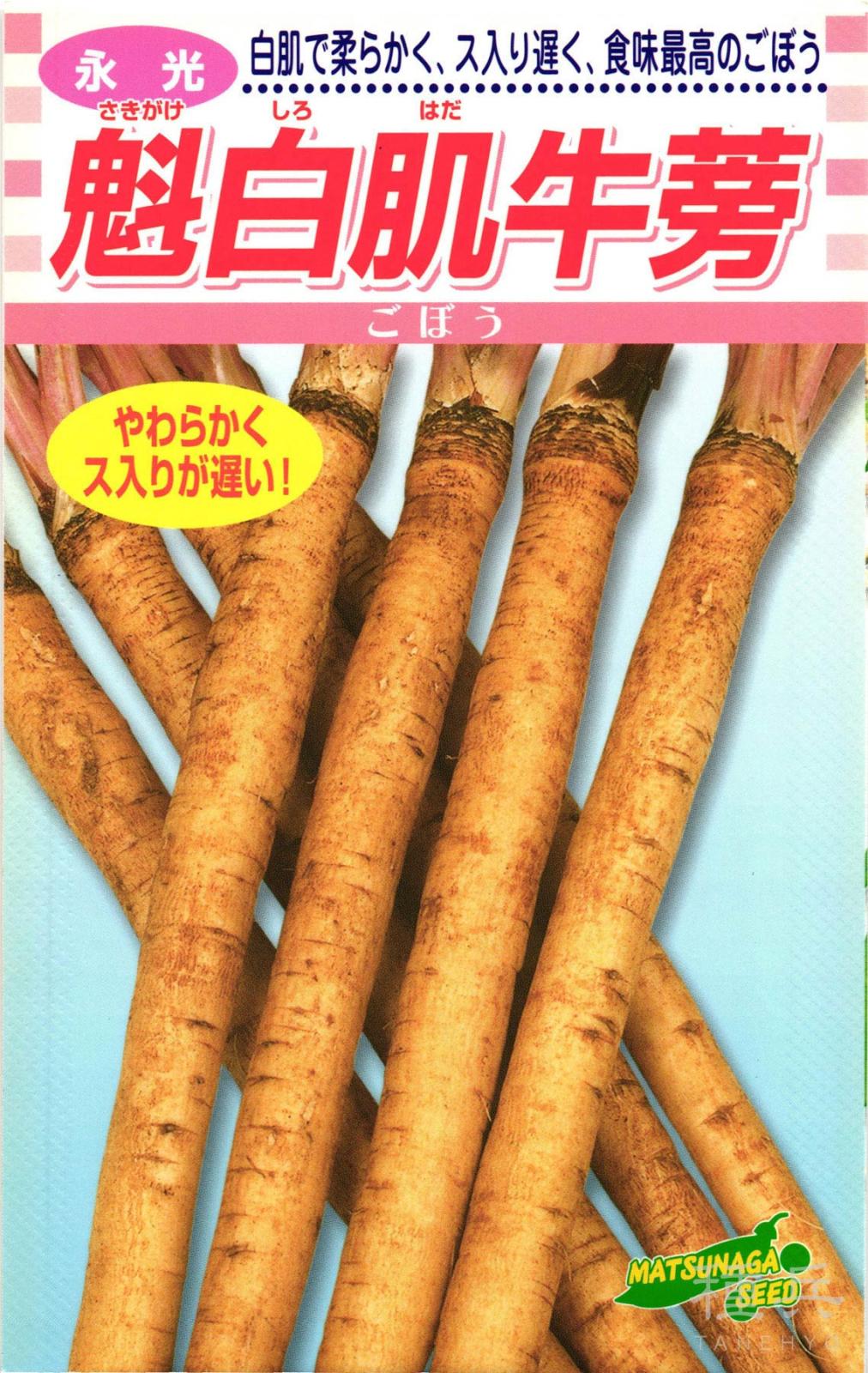 ゴボウ 種 『魁白肌牛蒡』  松永種苗