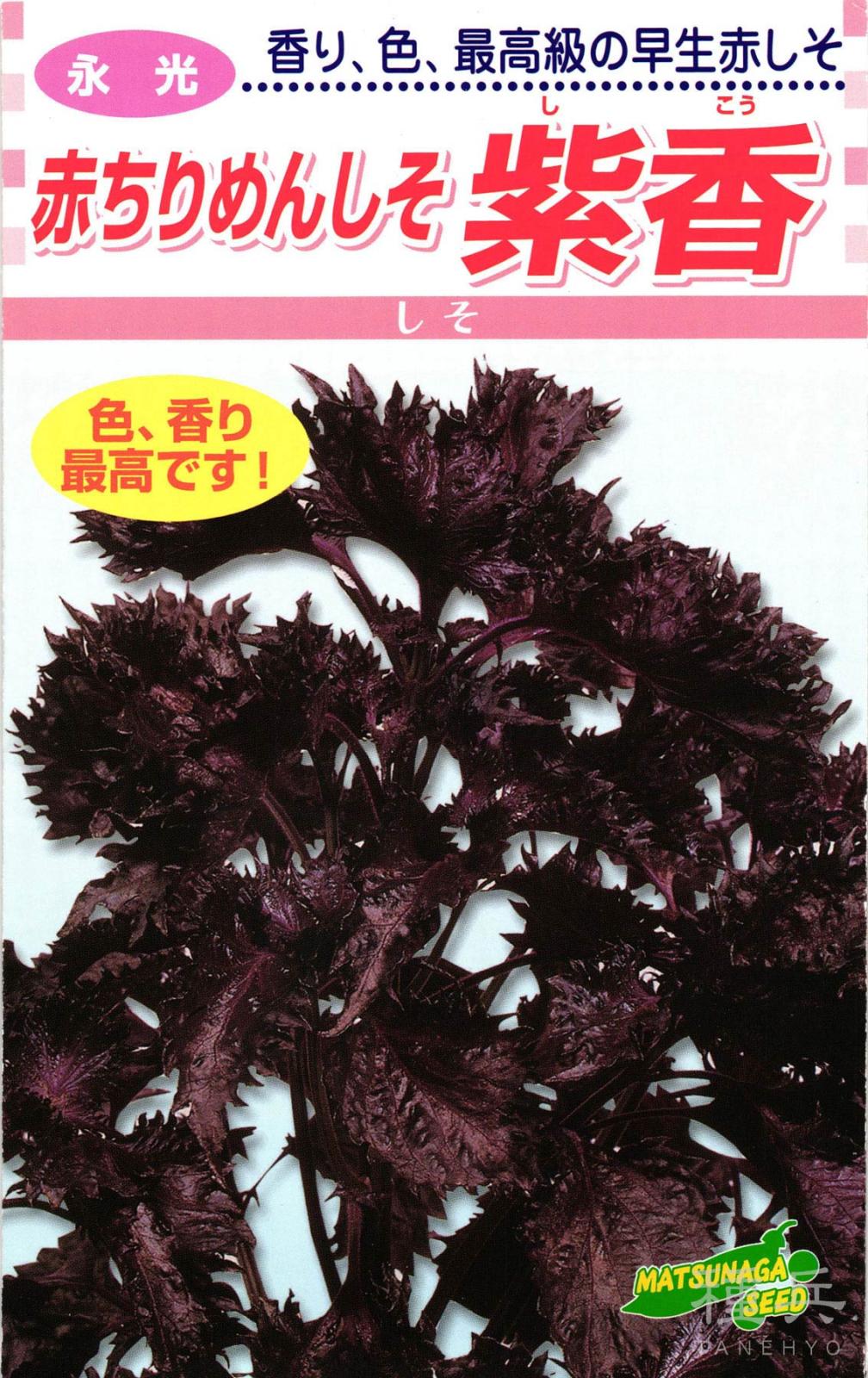 赤しそ 種 『紫香』  松永種苗