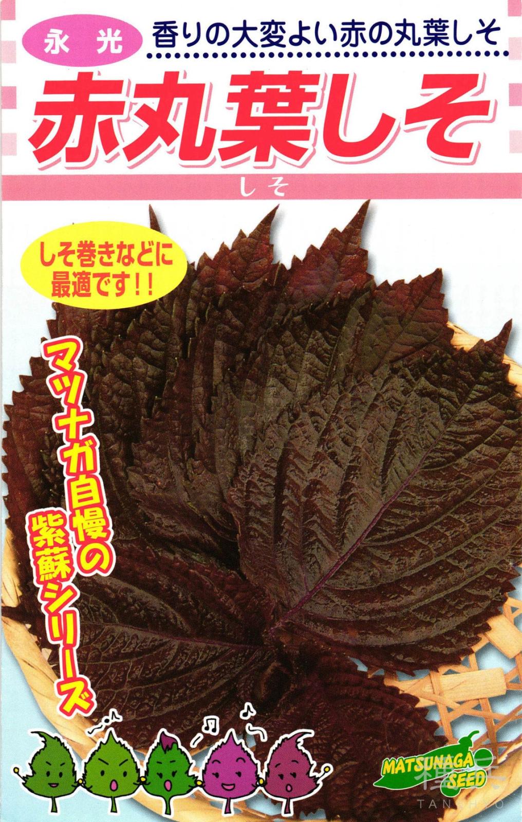 赤しそ 種 『赤丸葉しそ』  松永種苗