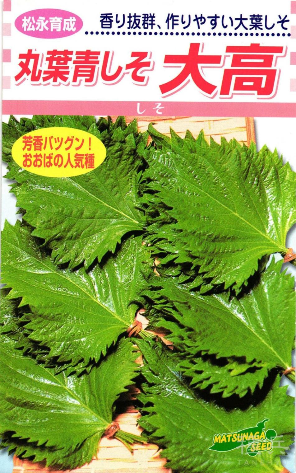 青しそ 種 『大高』  松永種苗