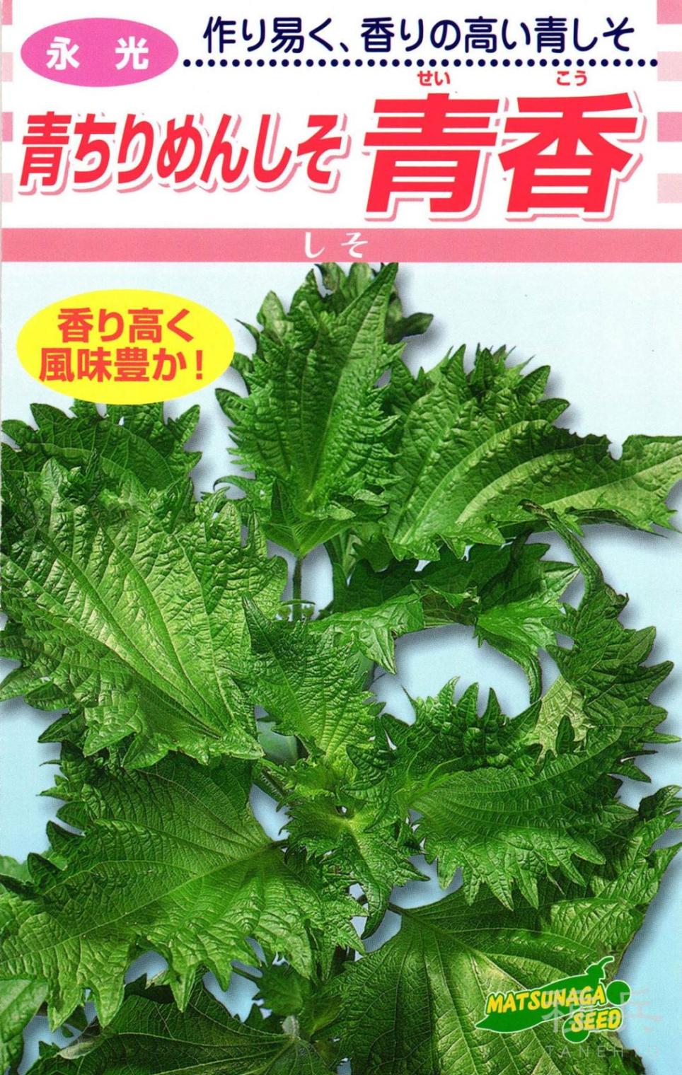 青しそ 種 『青香』  松永種苗