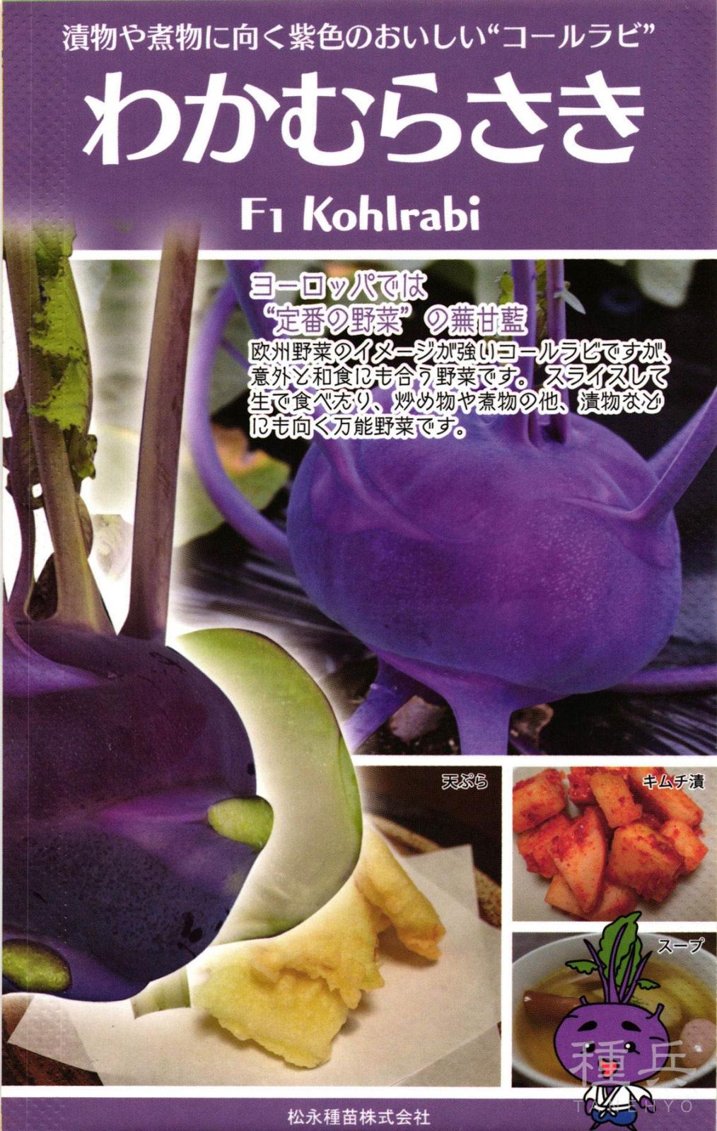 紫皮コールラビ 種 『わかむらさき』  松永種苗