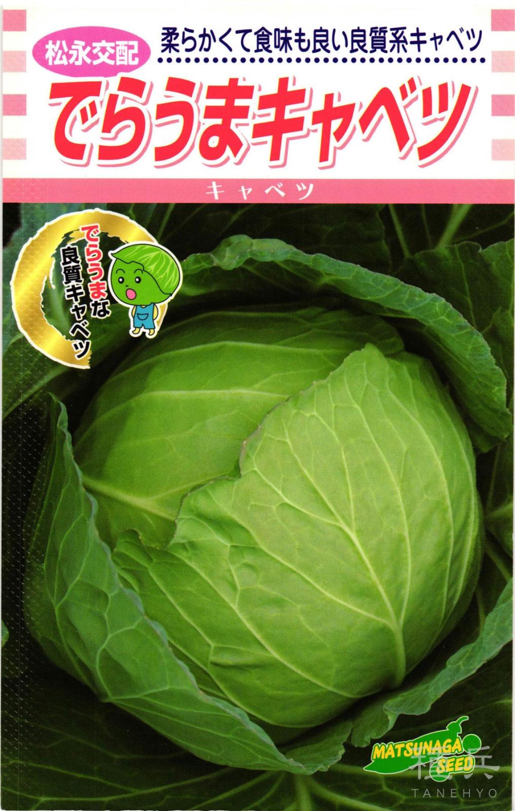 秋どりキャベツ 種 『でらうまキャベツ』  松永種苗