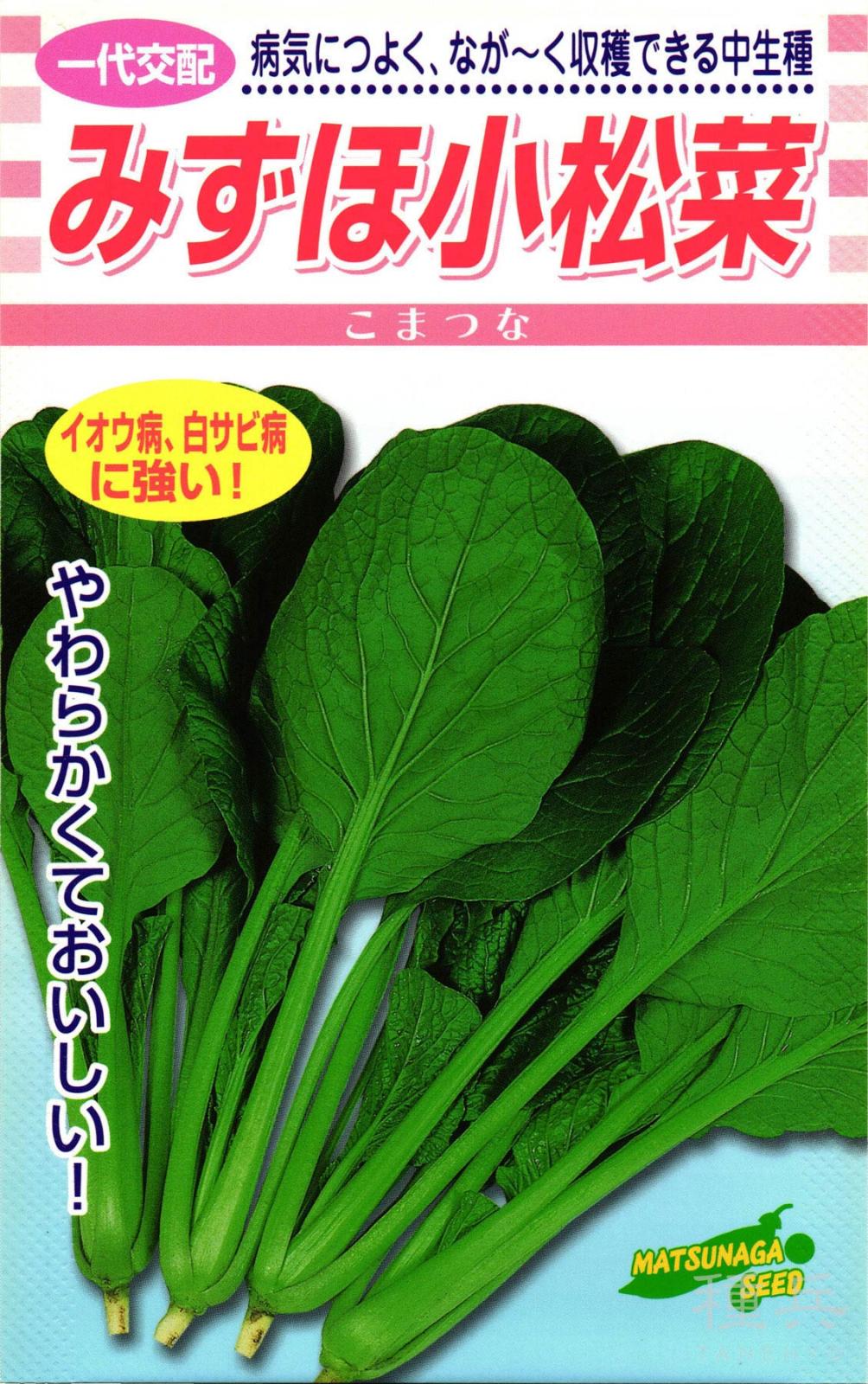 コマツナ 種 『みずほ小松菜』  松永種苗
