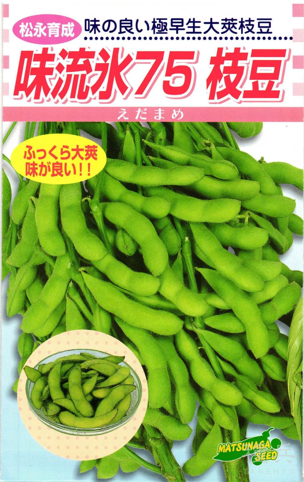 エダマメ 種 『味流氷75枝豆』  松永種苗