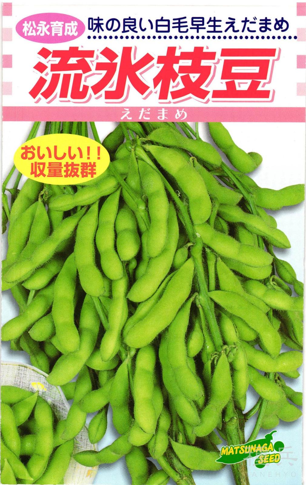 エダマメ 種 『流氷枝豆』  松永種苗