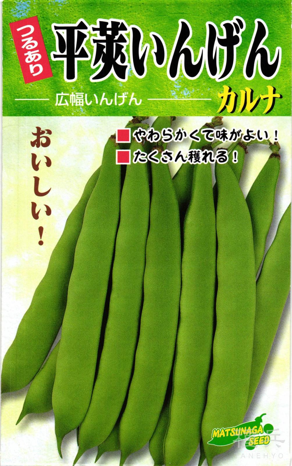 つるありインゲン 種 『つる有り平莢・カルナ菜豆』  松永種苗