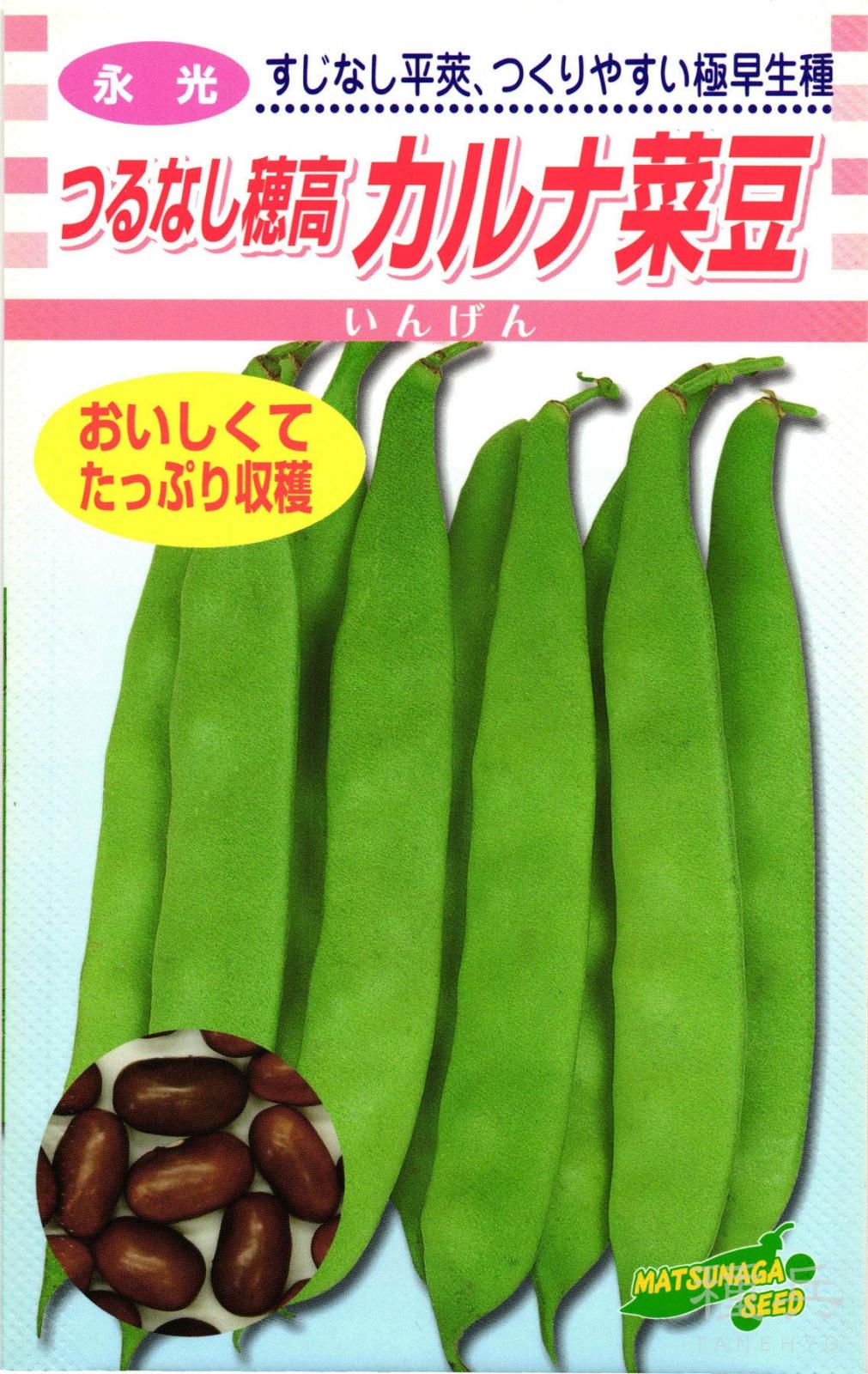 つるなしインンゲン 種 『つるなし穂高・カルナ菜豆』  松永種苗