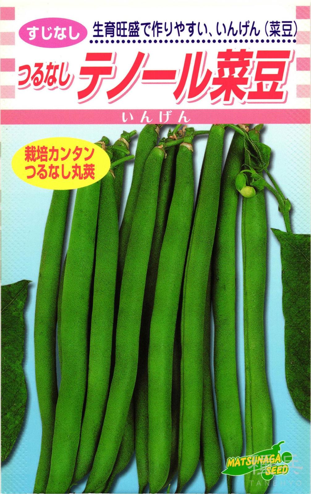 つるなしインンゲン 種 『テノール菜豆』  松永種苗