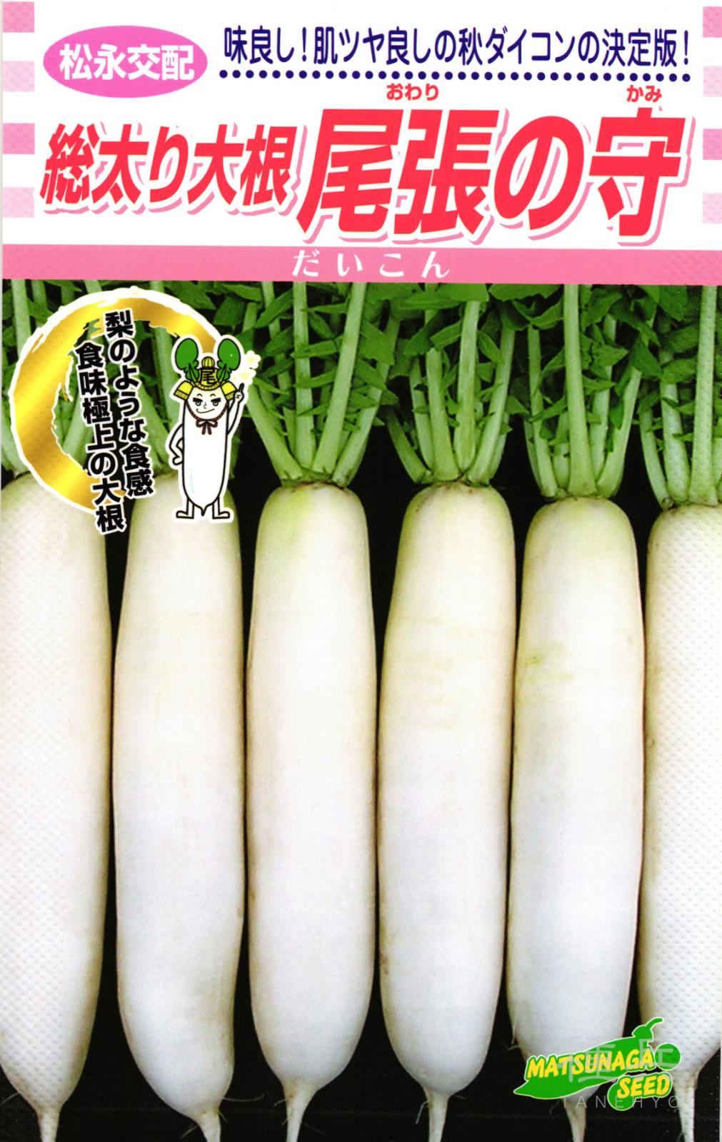 秋ダイコン 種 『総太り大根尾張の守』  松永種苗