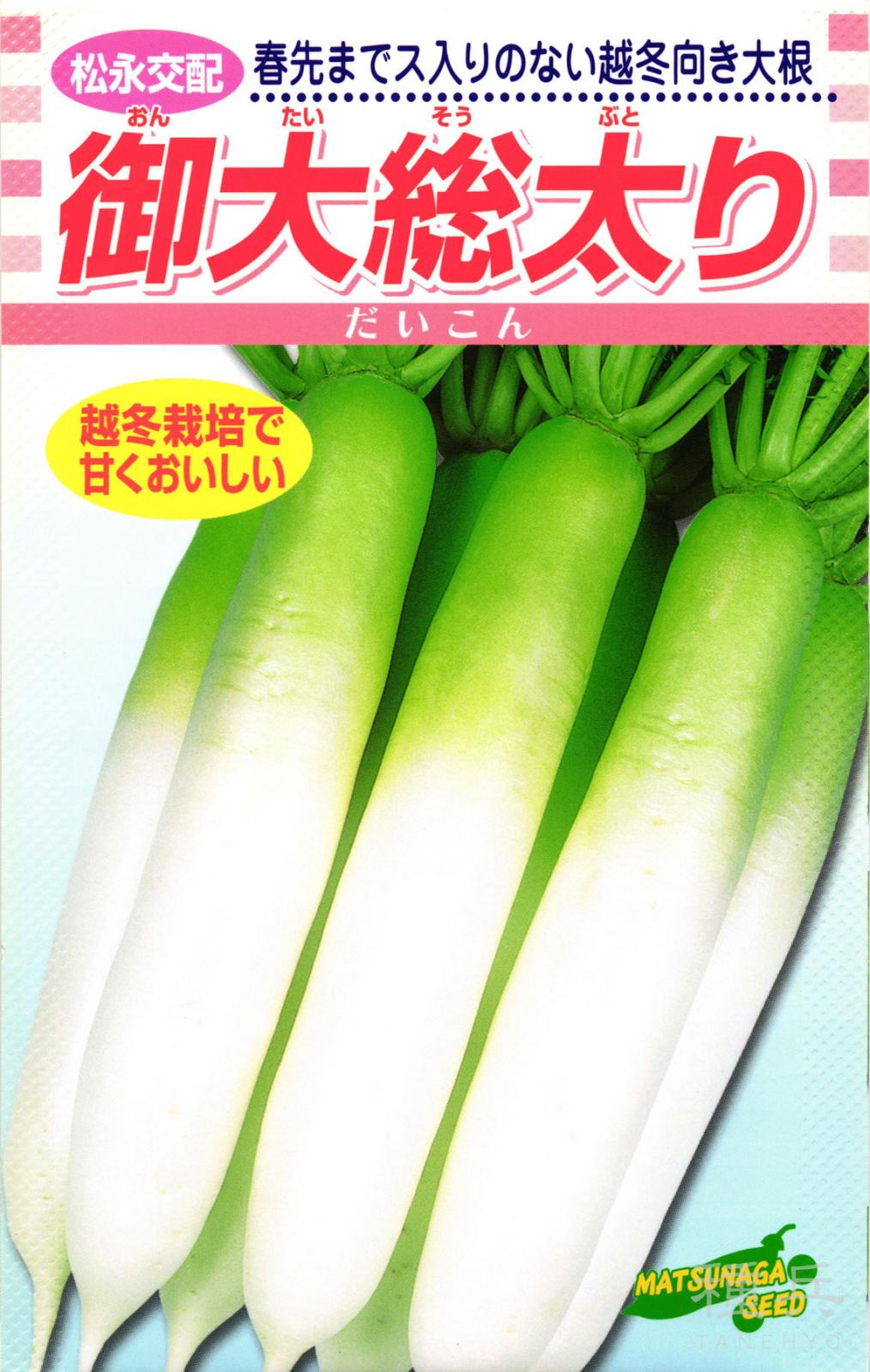 だいこん 秋ダイコン 種 『御大総太り大根』 松永種苗 | たね,根菜の種,ダイコン