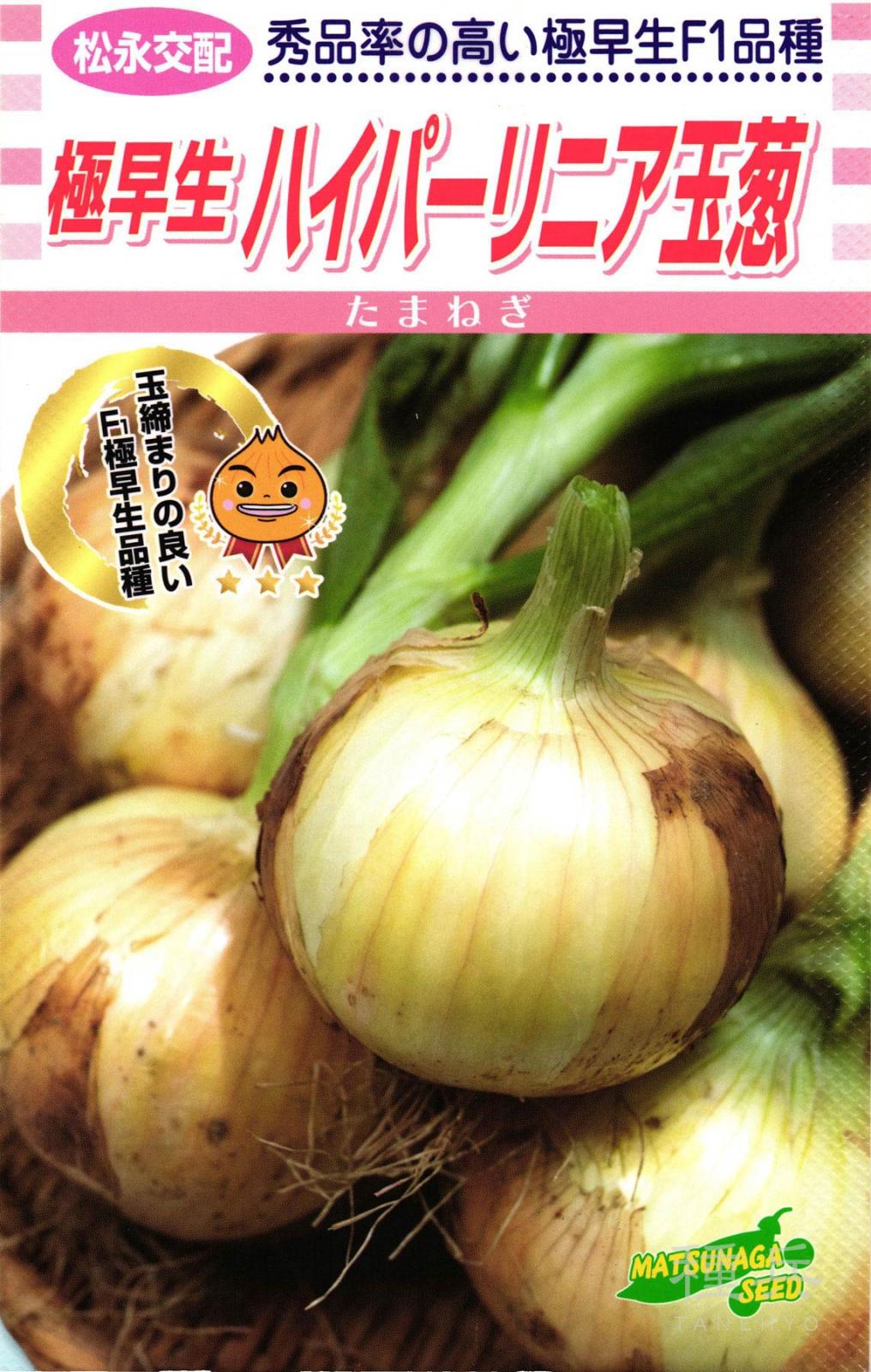 たね,根菜の種,タマネギ,極早生～早生タマネギ | 種兵ネットショッピング