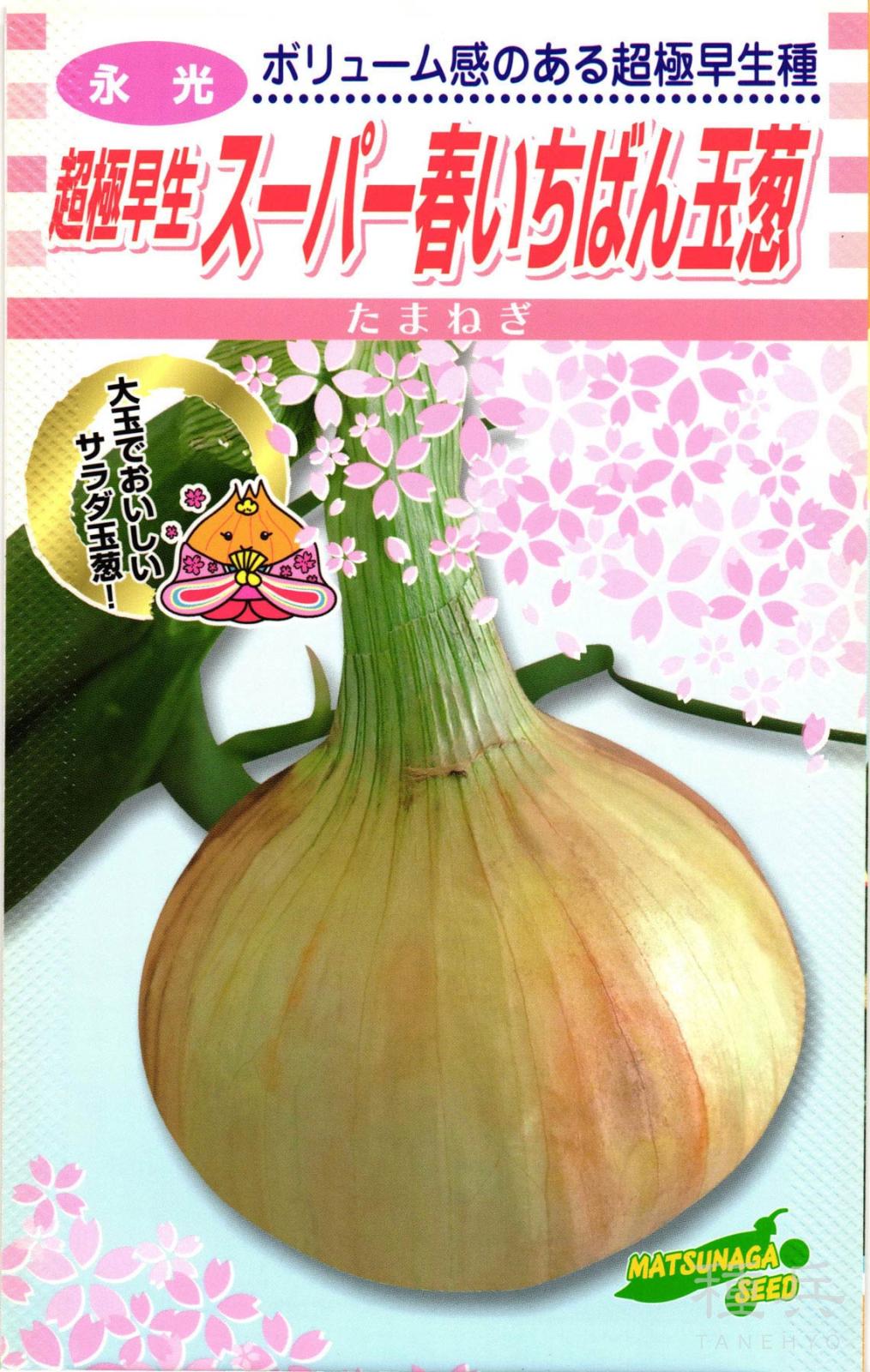 超極早生タマネギ 種 『スーパー春いちばん』 松永種苗 | たね