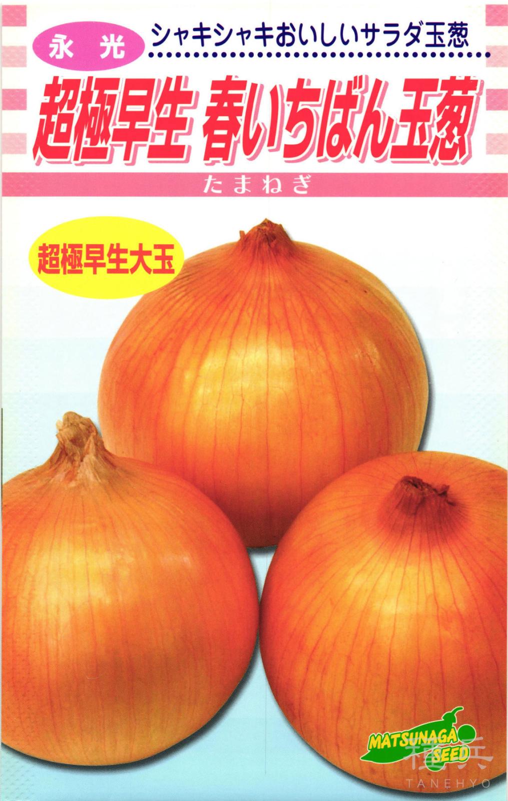 超極早生タマネギ 種 『春いちばん』  松永種苗