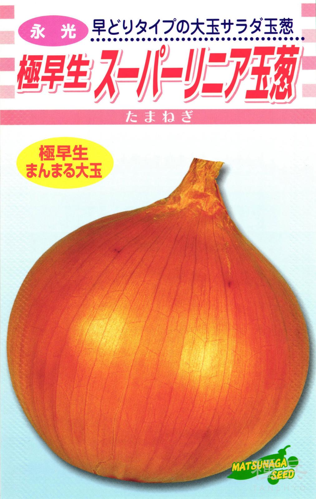 極早生タマネギ 種 『スーパーリニア』  松永種苗