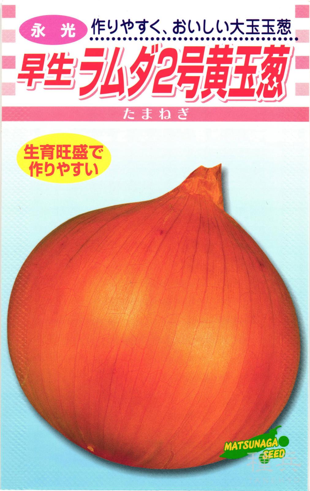早生タマネギ 種 『ラムダ2号黄玉葱』  松永種苗