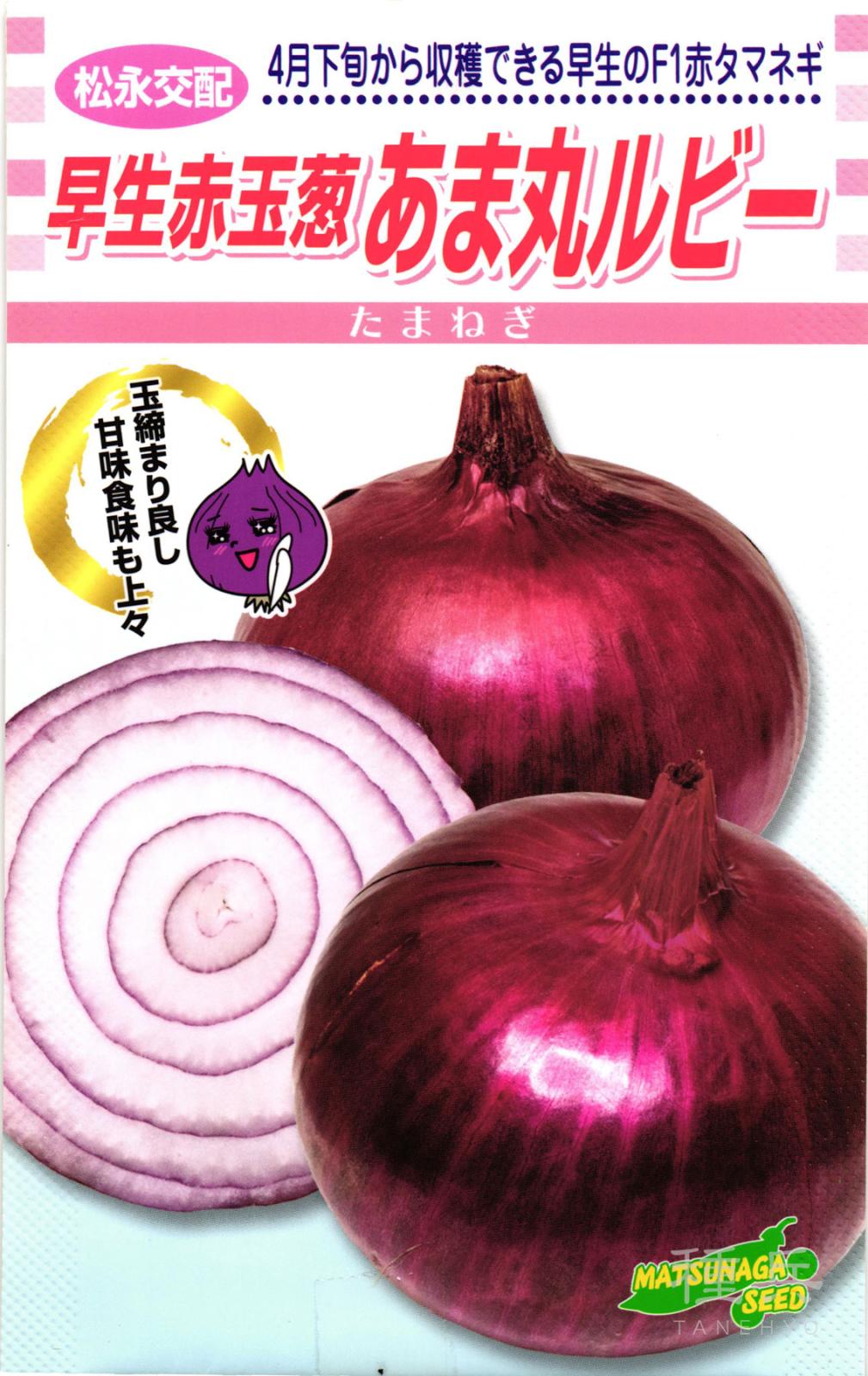 早生赤タマネギ 種 『あま丸ルビー』  松永種苗