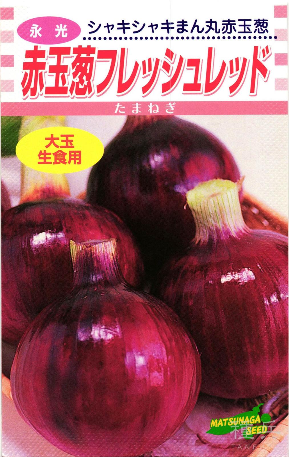 赤タマネギ 種 『フレッシュレッド』  松永種苗