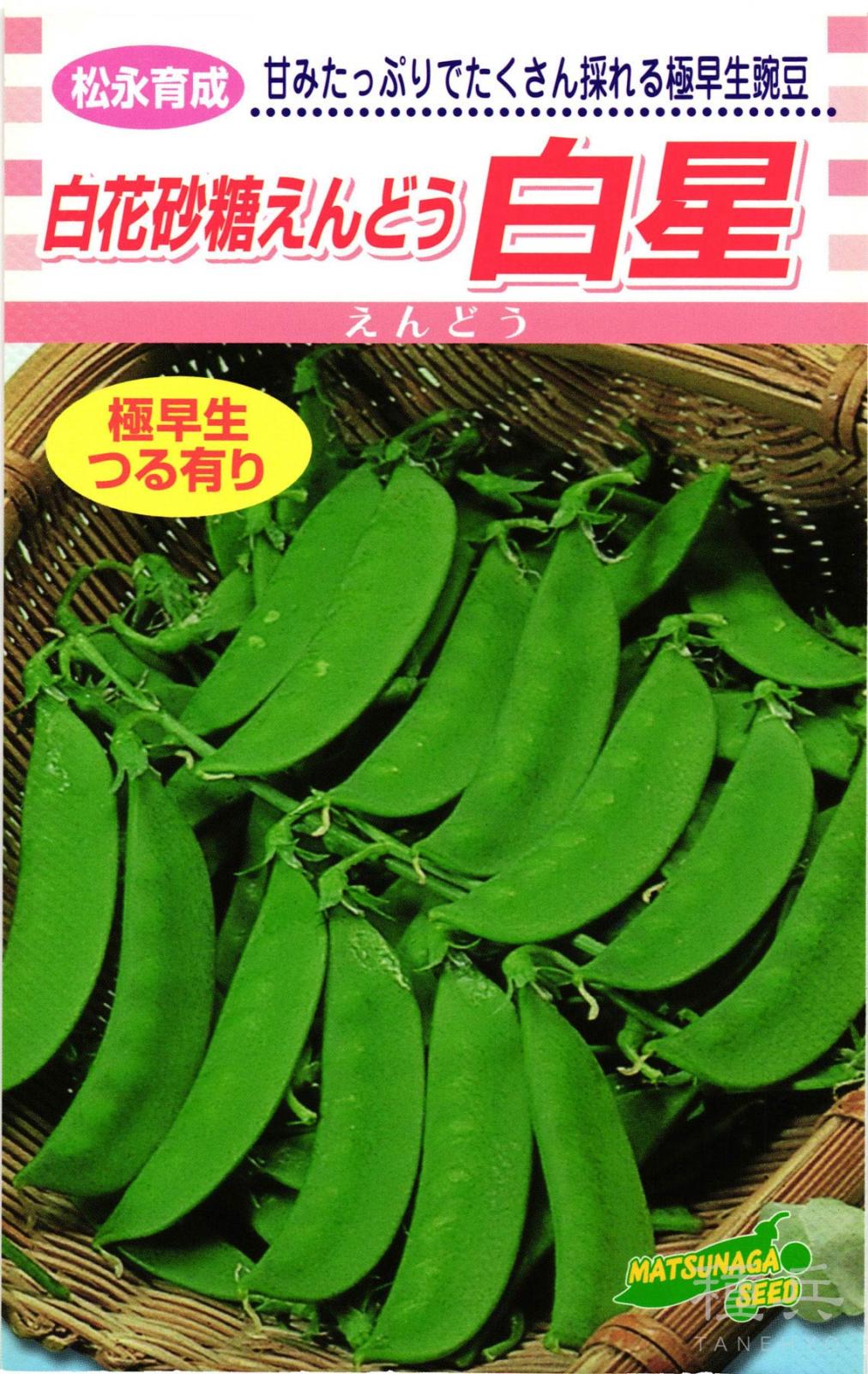 さやエンドウ 種 『白星』  松永種苗