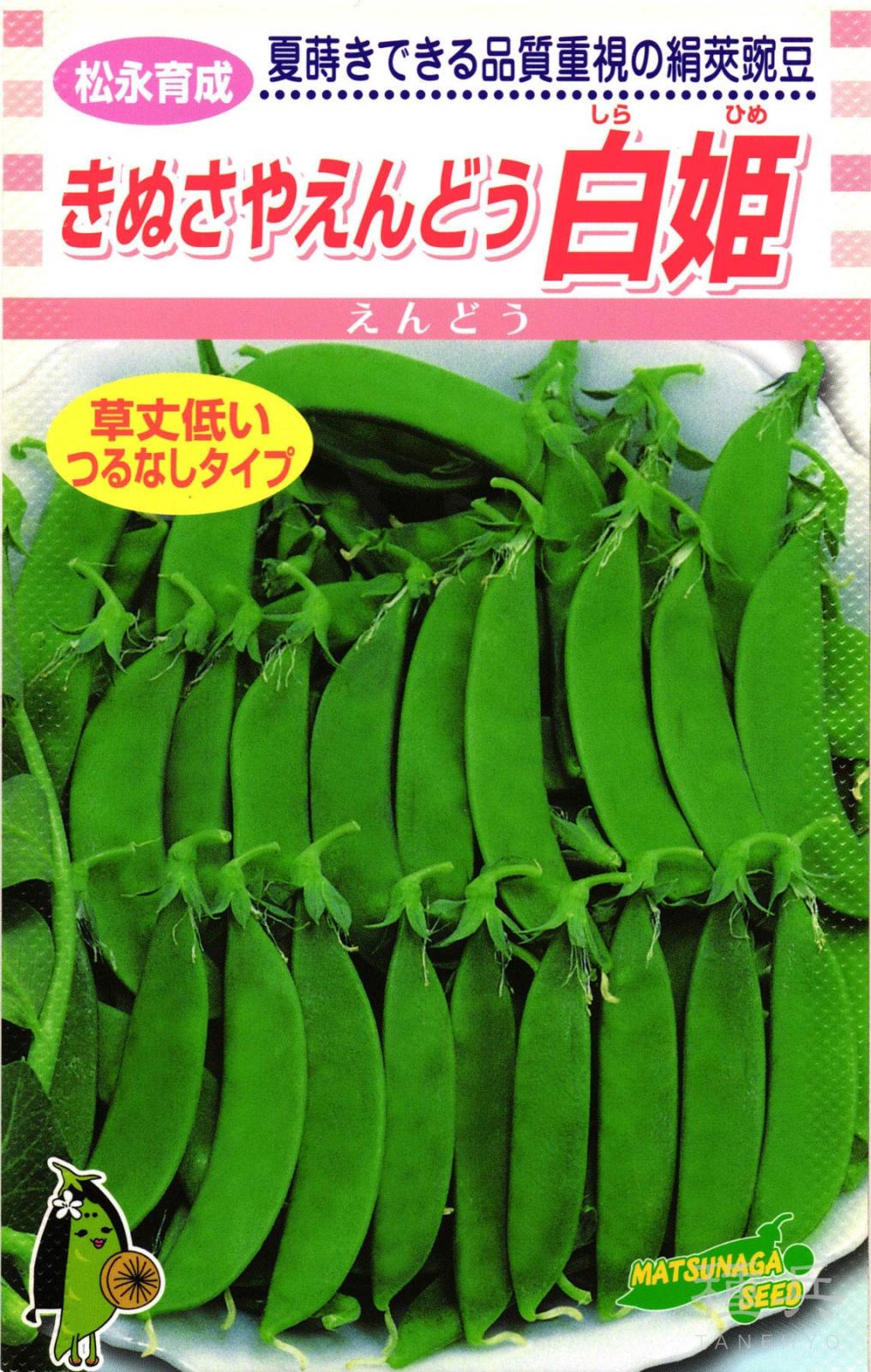 さやエンドウ 種 『白姫』  松永種苗