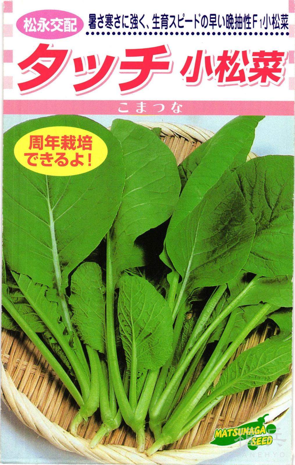 コマツナ 種 『タッチ小松菜』  松永種苗