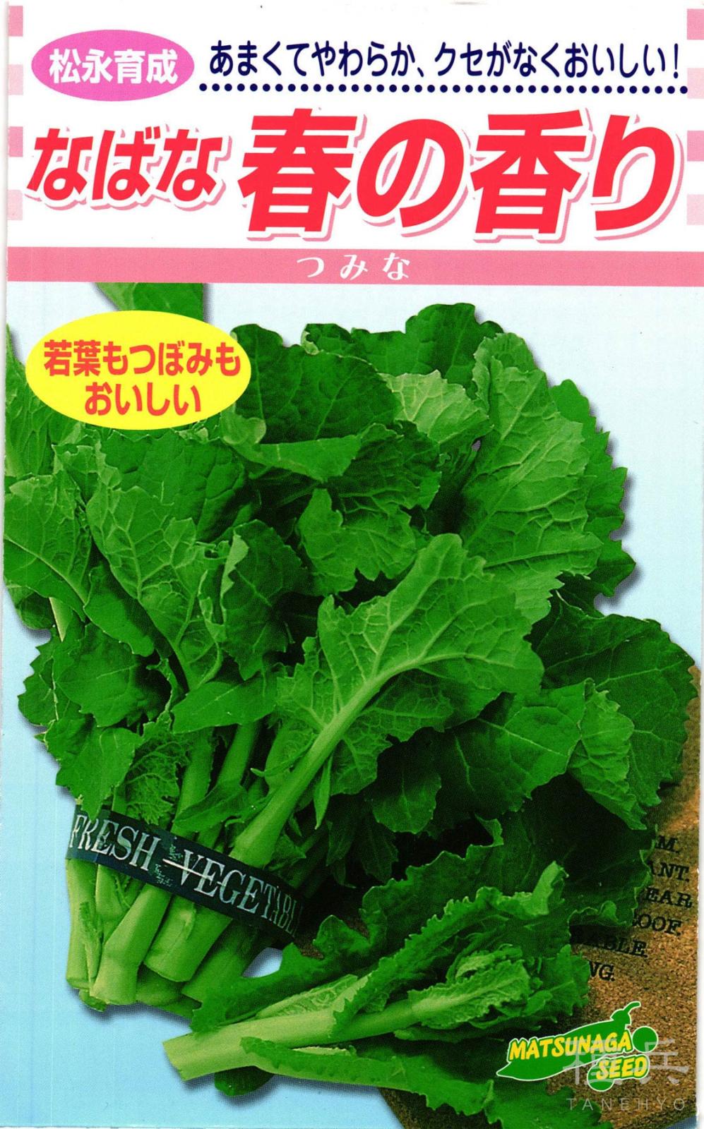 ナバナ 種 『春の香り』  松永種苗