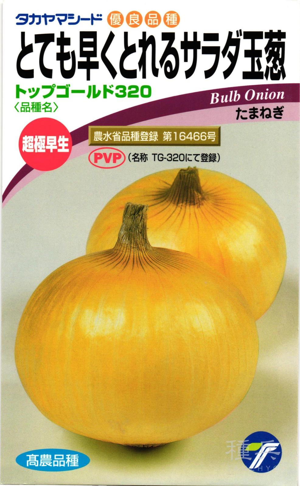 タマネギ 種 『トップゴールド320』  タカヤマシード