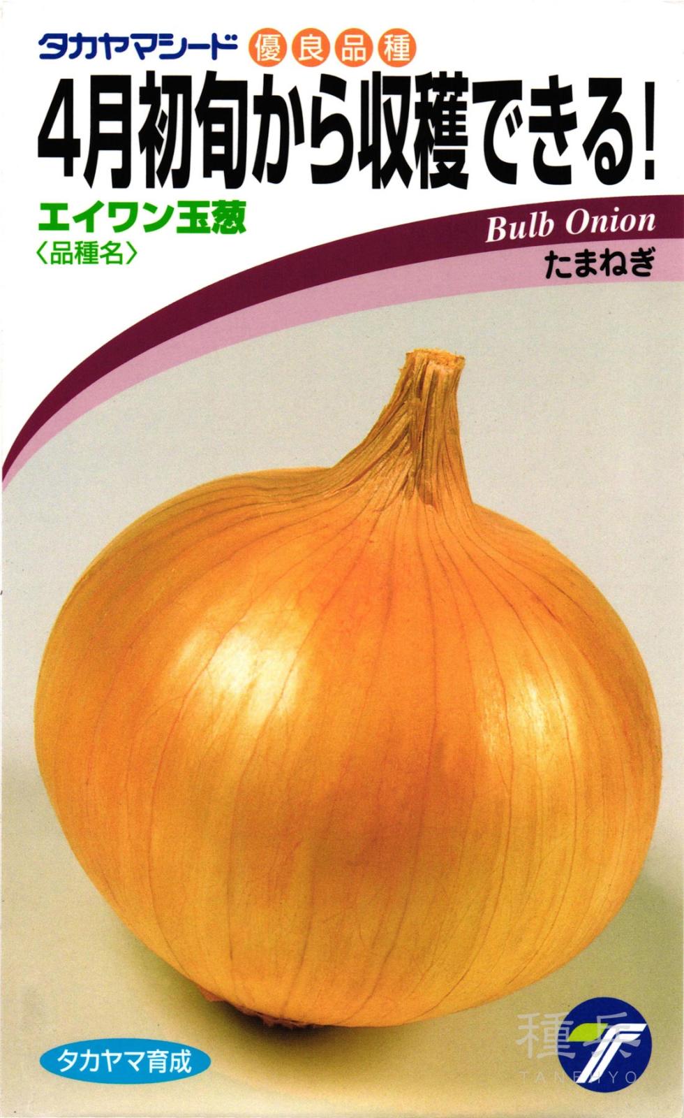 タマネギ 種 『エイワン玉葱』  タカヤマシード