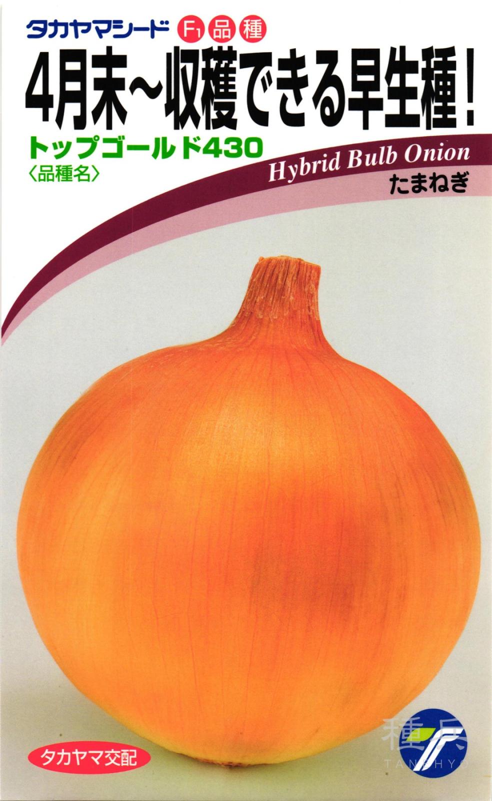 タマネギ 種 『トップゴールド430』  タカヤマシード