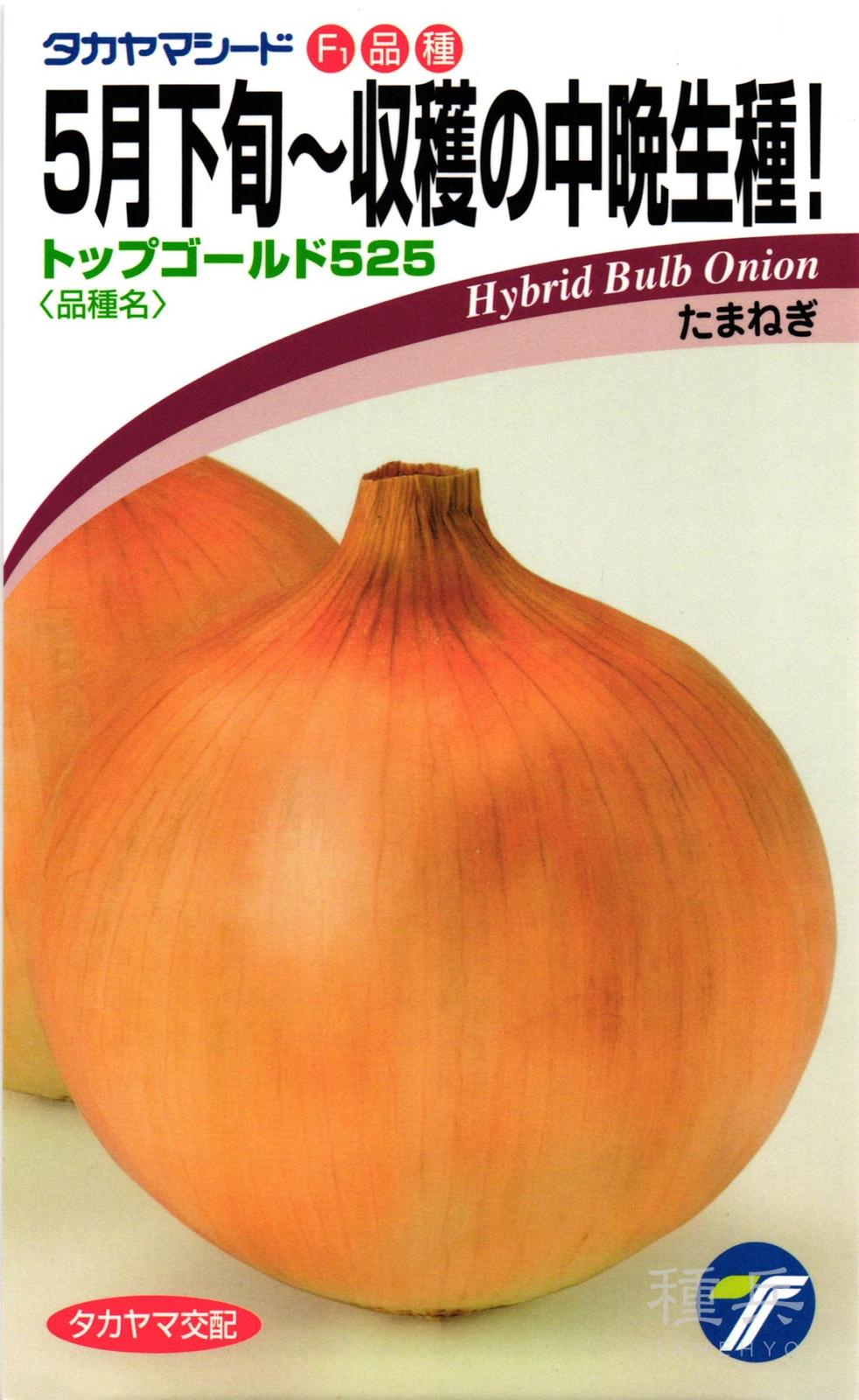 タマネギ 種 『トップゴールド525』  タカヤマシード