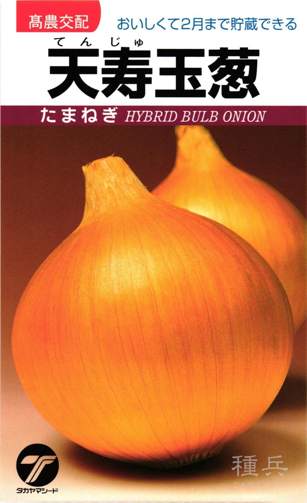 タマネギ 種 『天寿玉葱』  タカヤマシード