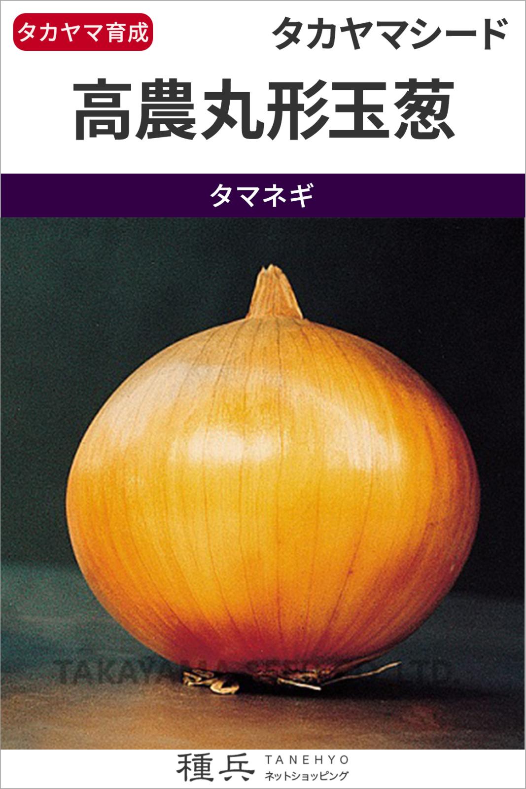 タマネギ 種 『高農丸型玉葱』  タカヤマシード