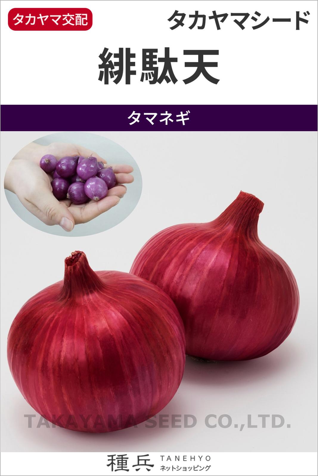 赤タマネギ 種 『緋駄天』  タカヤマシード
