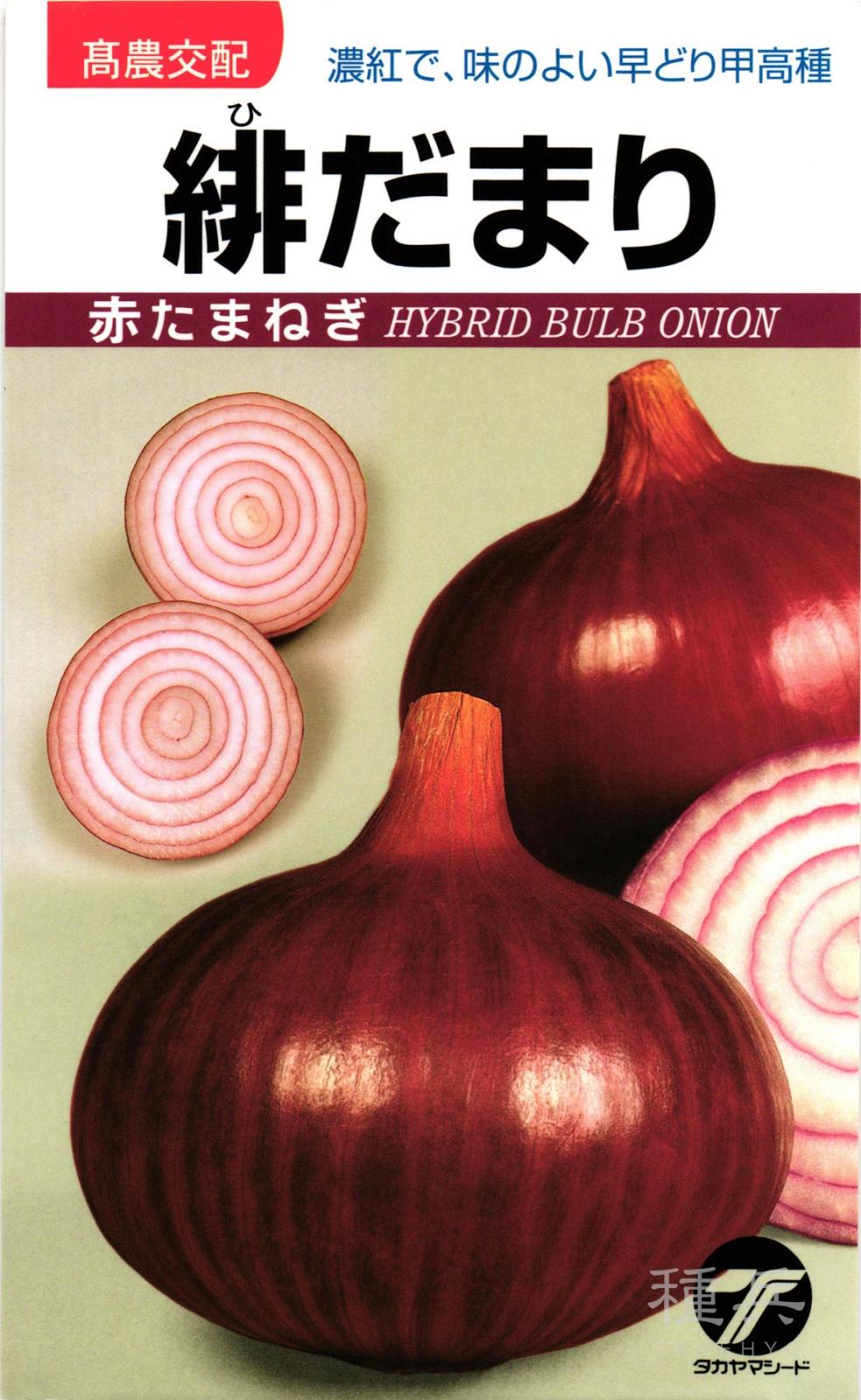 赤タマネギ 種 『緋だまり』  タカヤマシード