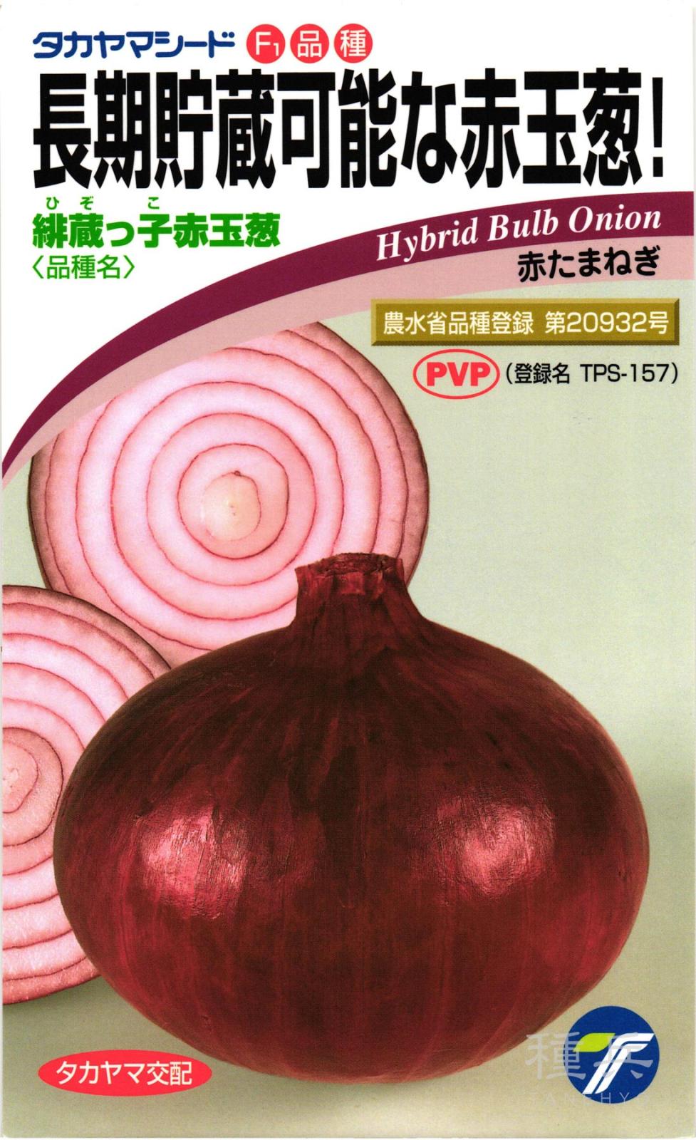 赤タマネギ 種 『緋蔵っ子赤玉葱』  タカヤマシード