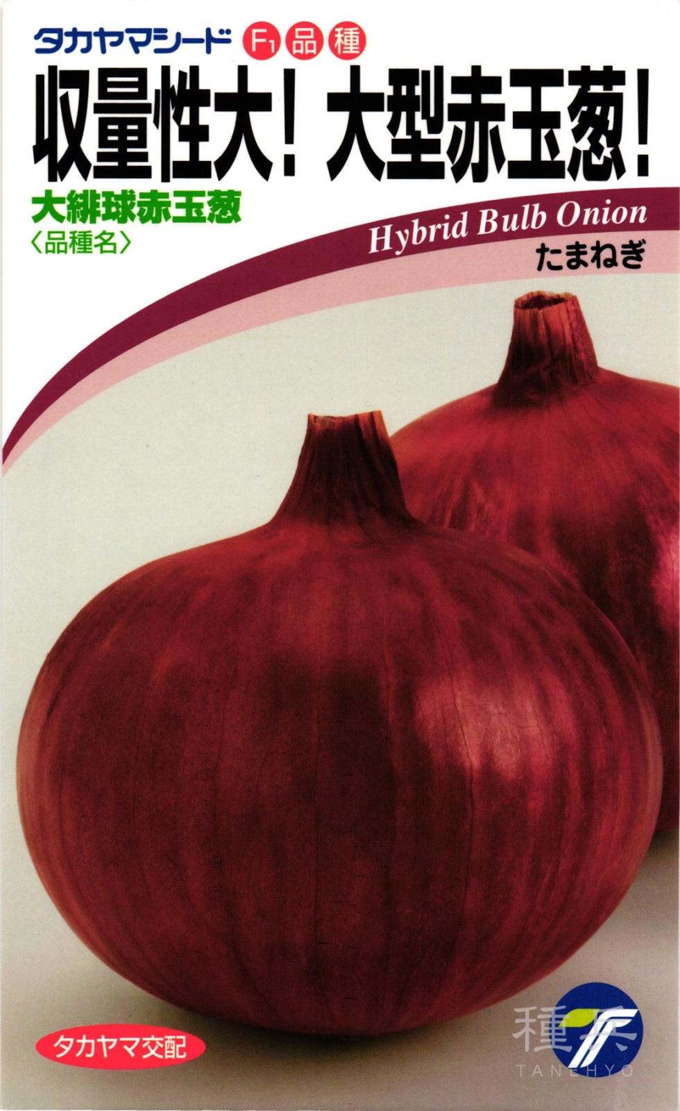 赤タマネギ 種 『大緋球赤玉葱』  タカヤマシード