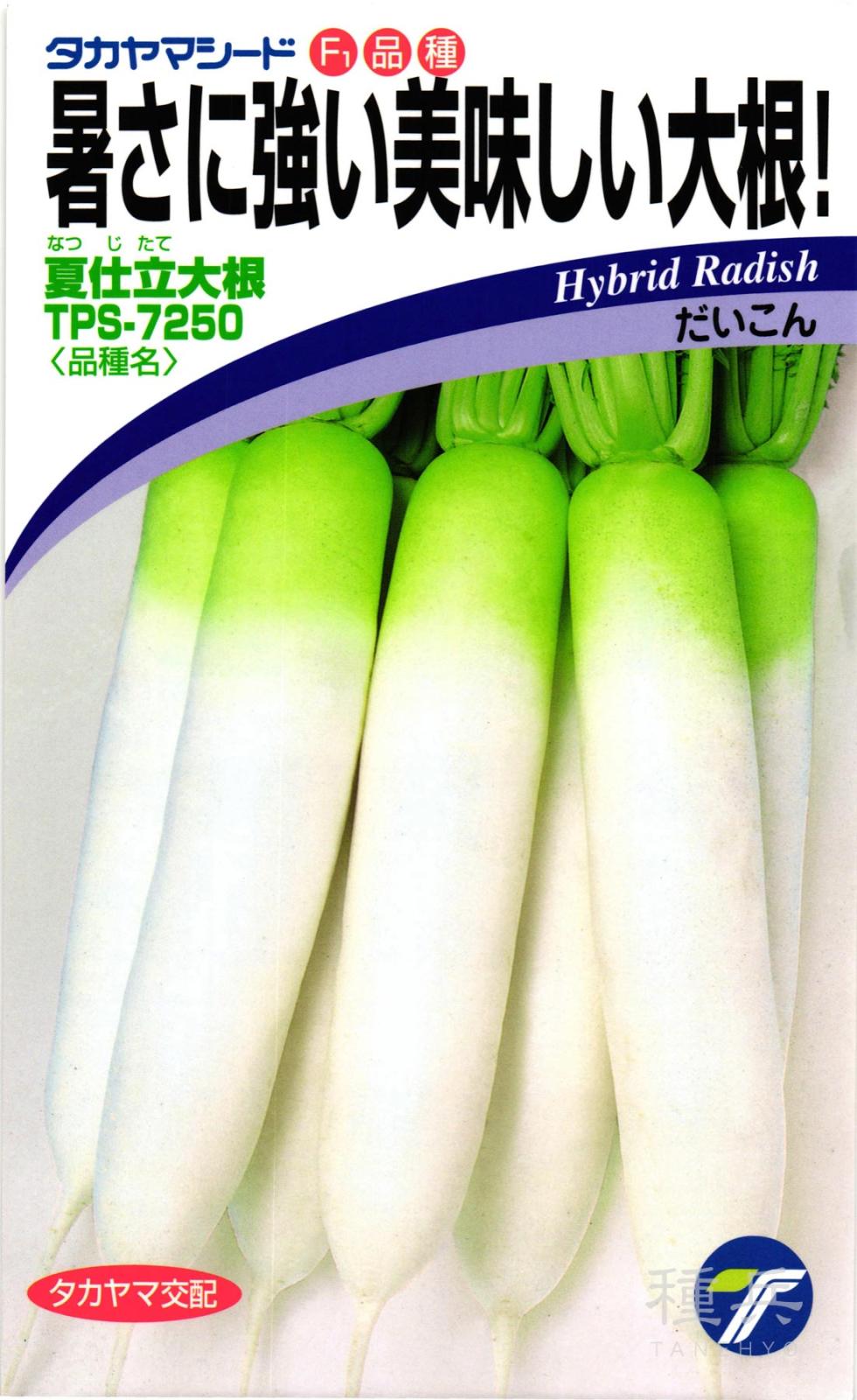 ダイコン 種 『夏仕立大根』  タカヤマシード
