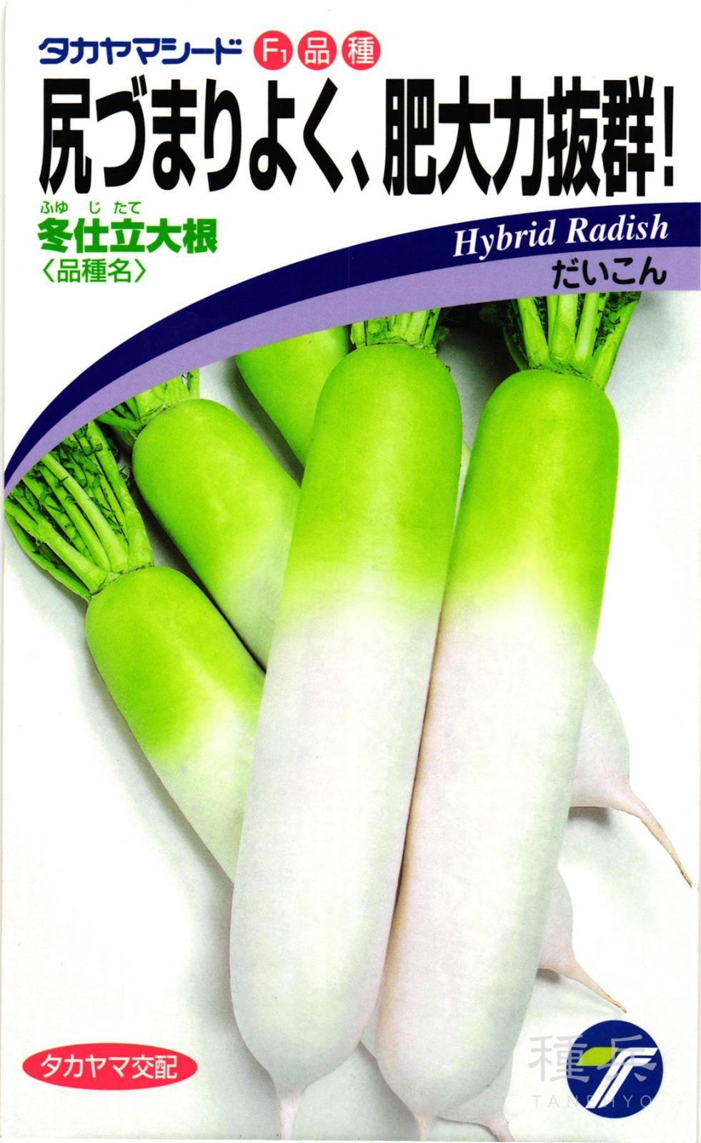 ダイコン 種 『冬仕立大根』  タカヤマシード