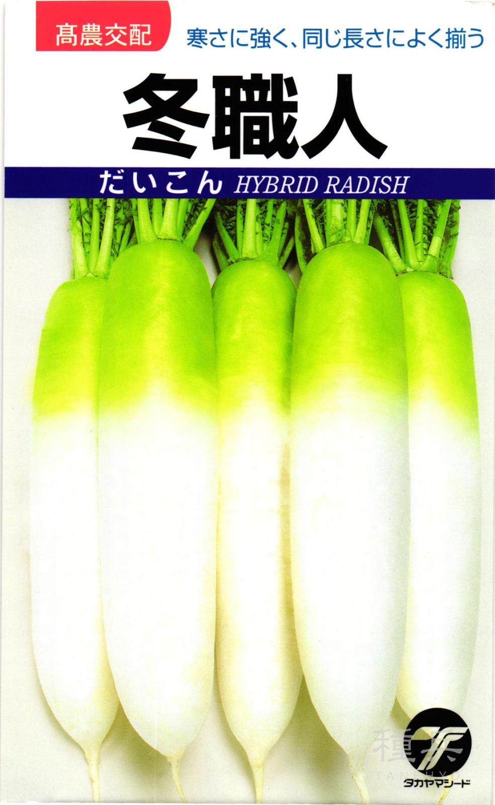 ダイコン 種 『冬職人』  タカヤマシード
