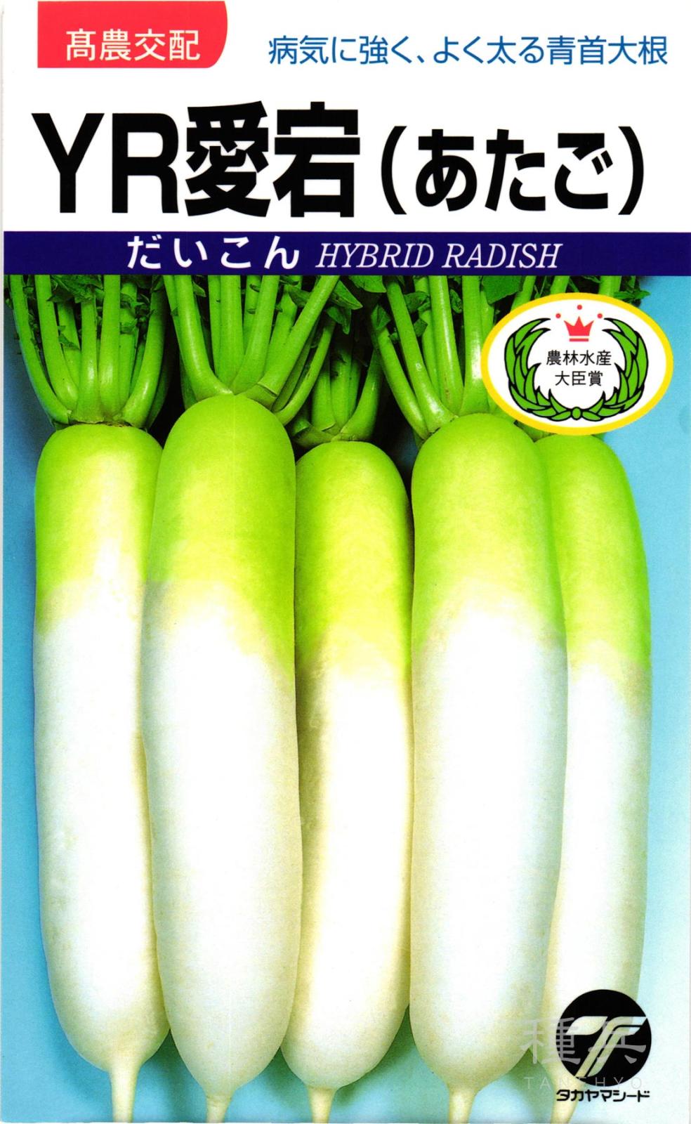 ダイコン 種 『YR愛宕』  タカヤマシード