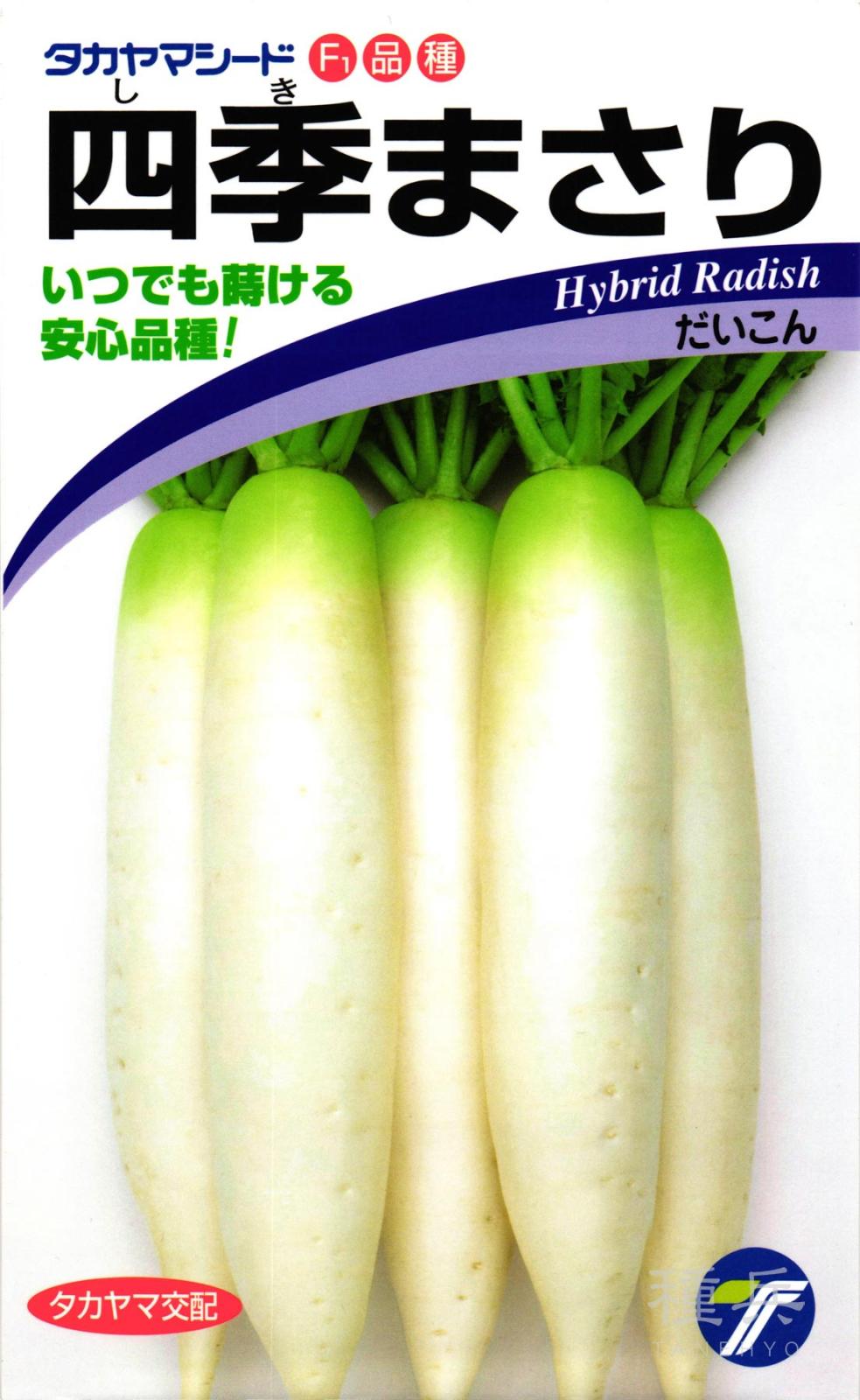 ダイコン 種 『四季まさり』  タカヤマシード