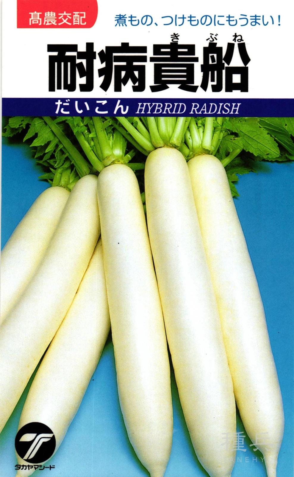 ダイコン 種 『耐病貴船』  タカヤマシード