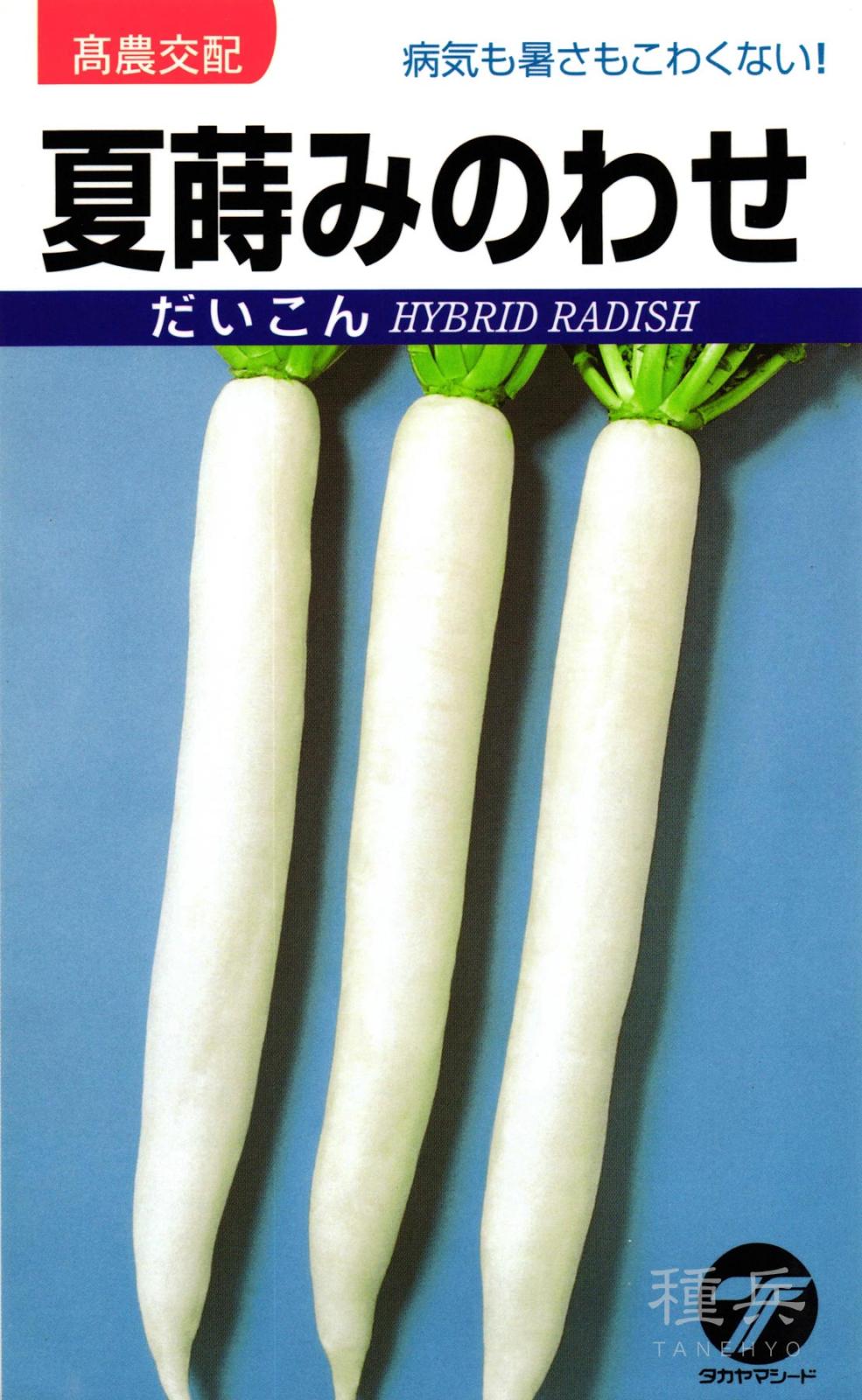 ダイコン 種 『夏蒔みのわせ』  タカヤマシード