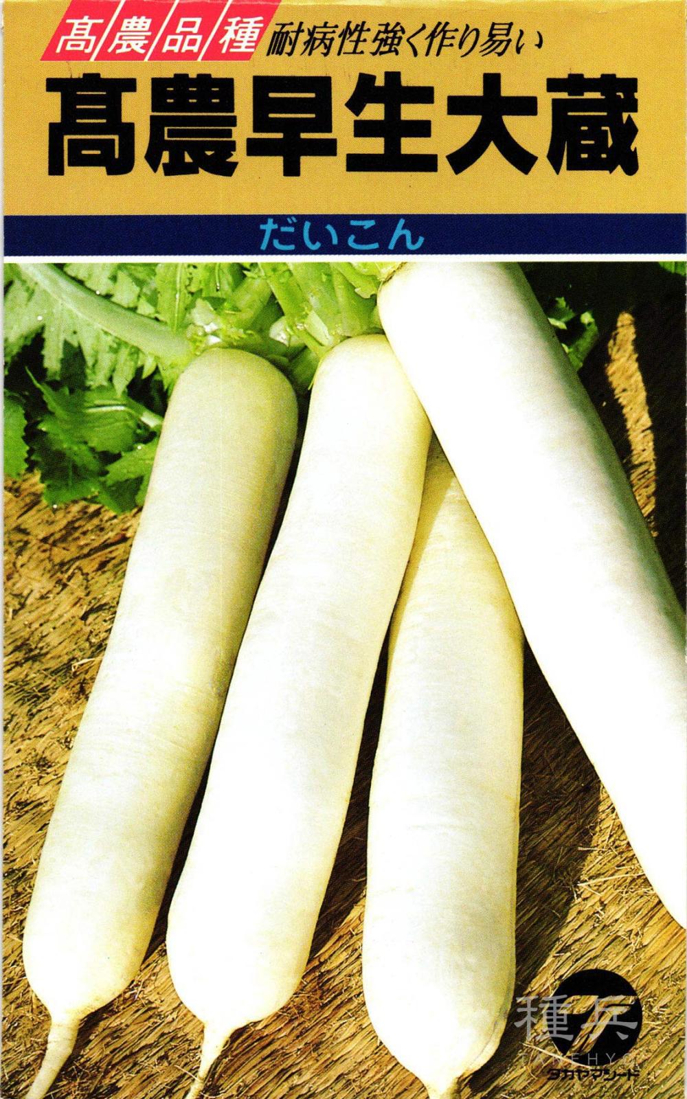 ダイコン 種 『高農早生大蔵』  タカヤマシード